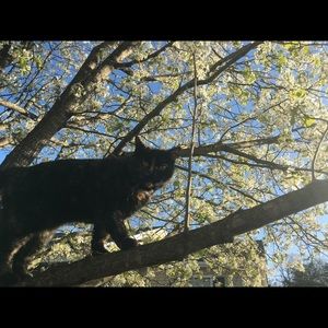 Meet your Posher, Elise